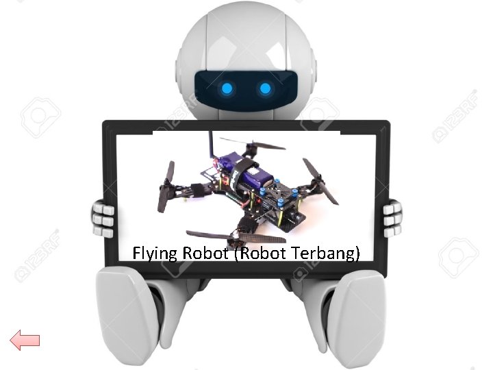 Flying Robot (Robot Terbang) 