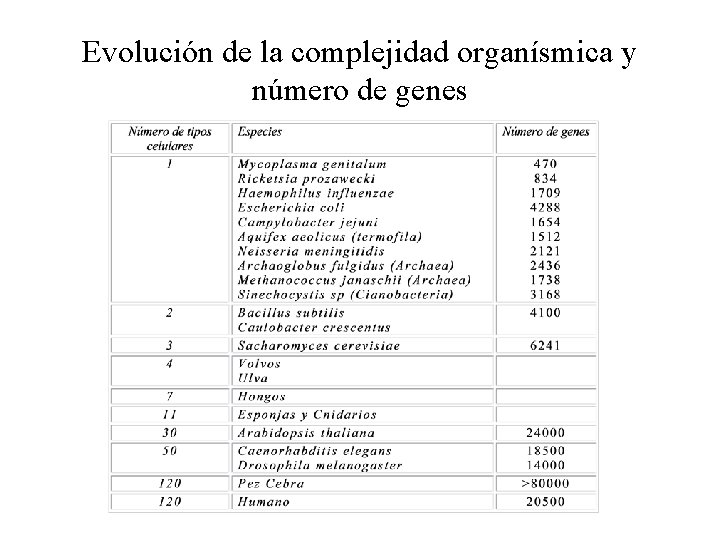 Evolución de la complejidad organísmica y número de genes 