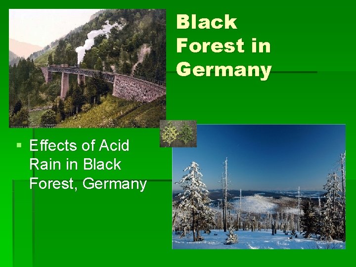 Black Forest in Germany § Effects of Acid Rain in Black Forest, Germany 