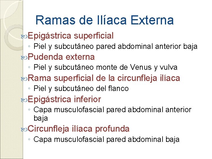 Ramas de Ilíaca Externa Epigástrica superficial ◦ Piel y subcutáneo pared abdominal anterior baja