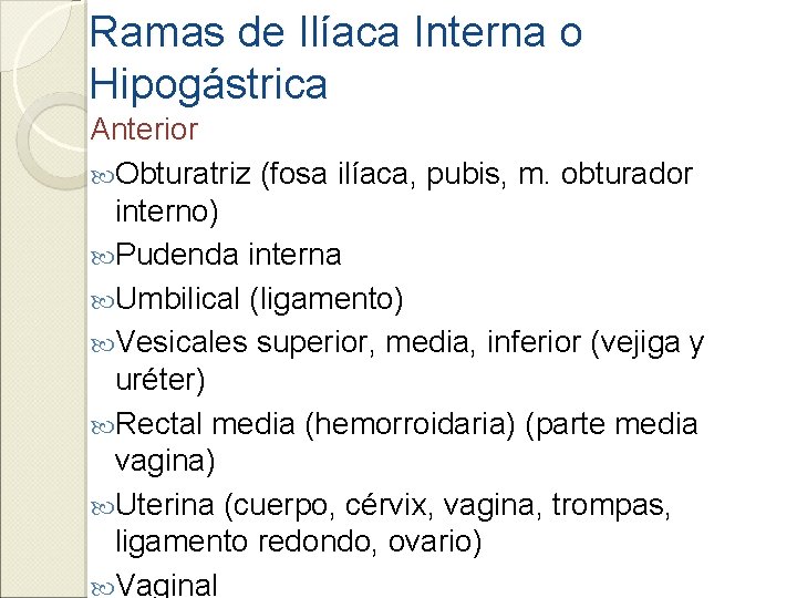 Ramas de Ilíaca Interna o Hipogástrica Anterior Obturatriz (fosa ilíaca, pubis, m. obturador interno)