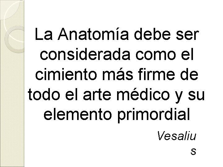 La Anatomía debe ser considerada como el cimiento más firme de todo el arte