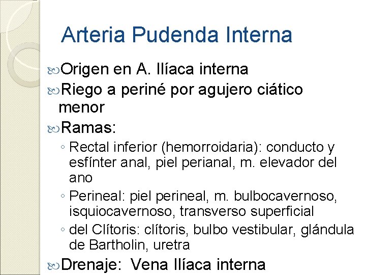 Arteria Pudenda Interna Origen en A. Ilíaca interna Riego a periné por agujero ciático