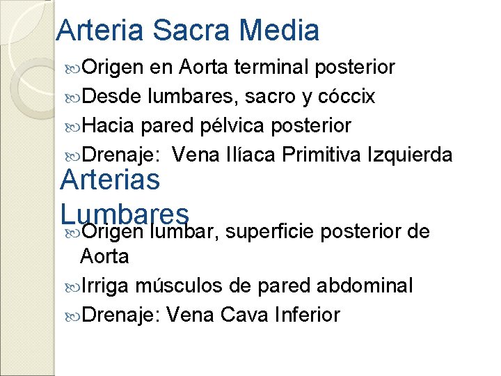 Arteria Sacra Media Origen en Aorta terminal posterior Desde lumbares, sacro y cóccix Hacia