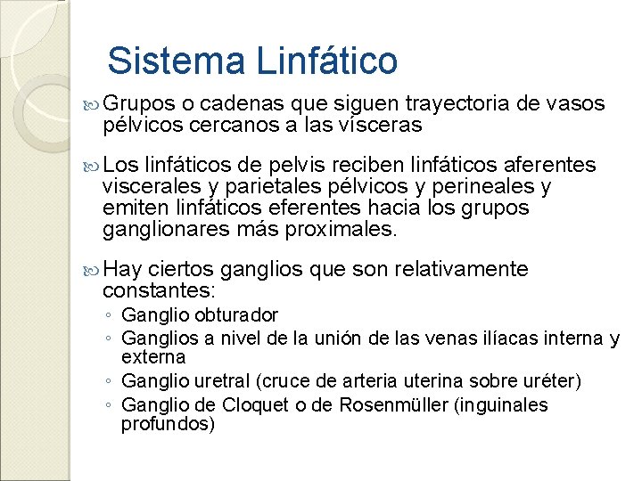 Sistema Linfático Grupos o cadenas que siguen trayectoria de vasos pélvicos cercanos a las