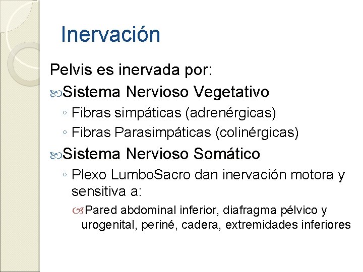 Inervación Pelvis es inervada por: Sistema Nervioso Vegetativo ◦ Fibras simpáticas (adrenérgicas) ◦ Fibras