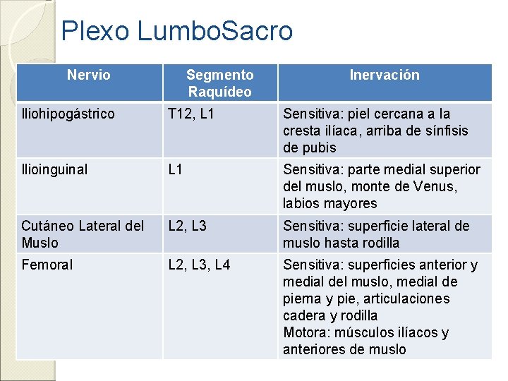 Plexo Lumbo. Sacro Nervio Segmento Raquídeo Inervación Iliohipogástrico T 12, L 1 Sensitiva: piel