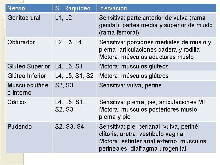 Nervio S. Raquídeo Inervación Genitocrural L 1, L 2 Sensitiva: parte anterior de vulva