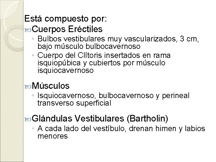 Está compuesto por: Cuerpos Eréctiles ◦ Bulbos vestibulares muy vascularizados, 3 cm, bajo músculo