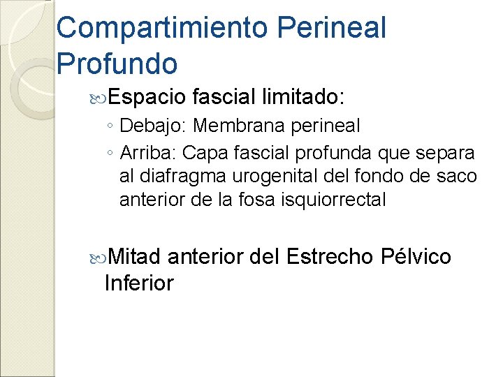 Compartimiento Perineal Profundo Espacio fascial limitado: ◦ Debajo: Membrana perineal ◦ Arriba: Capa fascial