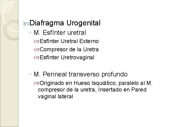  Diafragma Urogenital ◦ M. Esfínter uretral Esfínter Uretral Externo Compresor de la Uretra