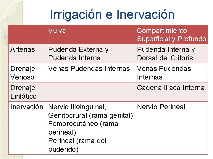 Irrigación e Inervación Vulva Compartimiento Superficial y Profundo Pudenda Interna y Dorsal del Clítoris