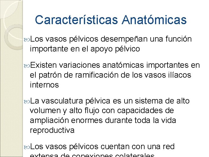 Características Anatómicas Los vasos pélvicos desempeñan una función importante en el apoyo pélvico Existen