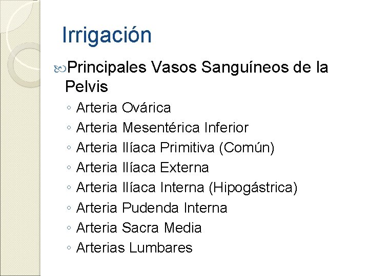 Irrigación Principales Vasos Sanguíneos de la Pelvis ◦ Arteria Ovárica ◦ Arteria Mesentérica Inferior