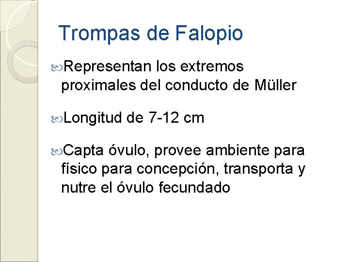 Trompas de Falopio Representan los extremos proximales del conducto de Müller Longitud Capta de