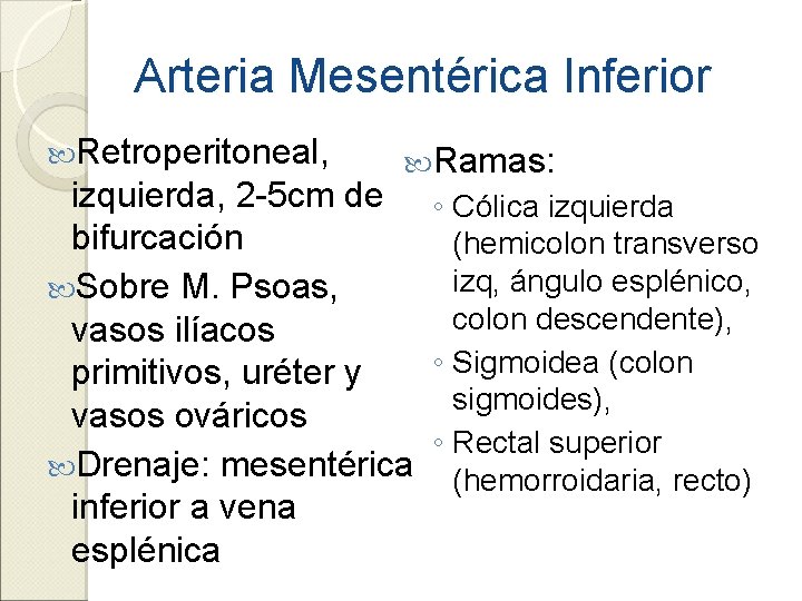Arteria Mesentérica Inferior Retroperitoneal, Ramas: izquierda, 2 -5 cm de ◦ Cólica izquierda bifurcación