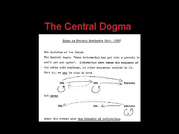 The Central Dogma 