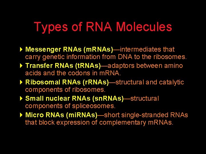 Types of RNA Molecules 4 Messenger RNAs (m. RNAs)—intermediates that carry genetic information from