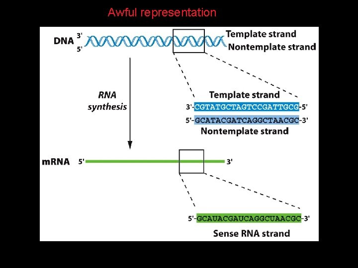 Awful representation 