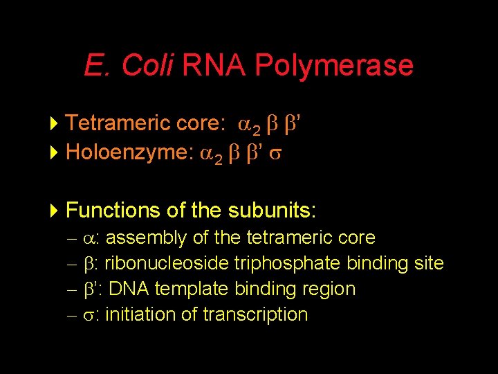 E. Coli RNA Polymerase 4 Tetrameric core: 2 ’ 4 Holoenzyme: 2 ’ 4