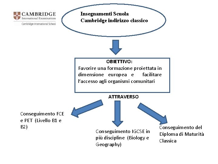 Insegnamenti Scuola Cambridge indirizzo classico OBIETTIVO: Favorire una formazione proiettata in dimensione europea e