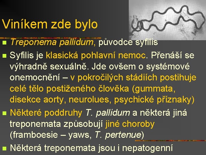 Viníkem zde bylo n n Treponema pallidum, původce syfilis Syfilis je klasická pohlavní nemoc.