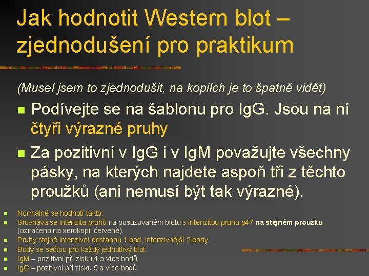 Jak hodnotit Western blot – zjednodušení pro praktikum (Musel jsem to zjednodušit, na kopiích