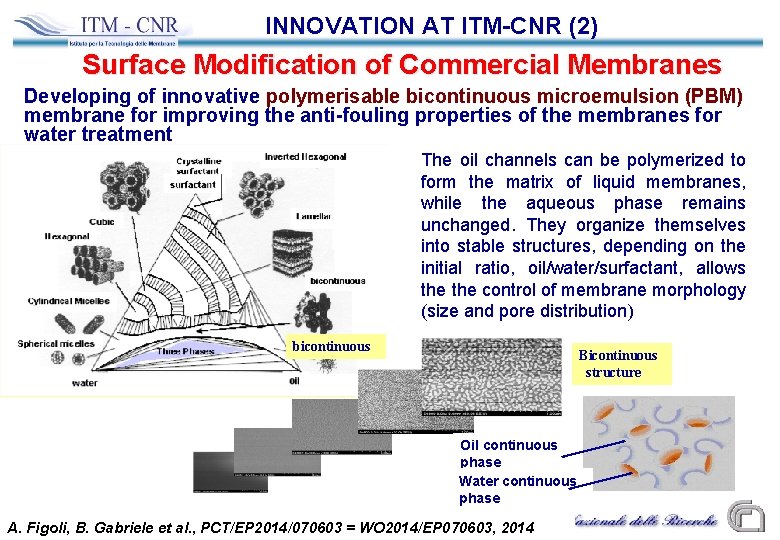 INNOVATION AT ITM-CNR (2) Surface Modification of Commercial Membranes Developing of innovative polymerisable bicontinuous
