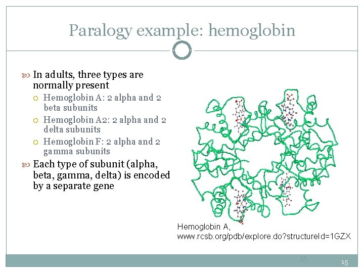 Paralogy example: hemoglobin In adults, three types are normally present Hemoglobin A: 2 alpha
