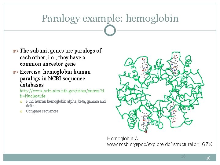 Paralogy example: hemoglobin The subunit genes are paralogs of each other, i. e. ,