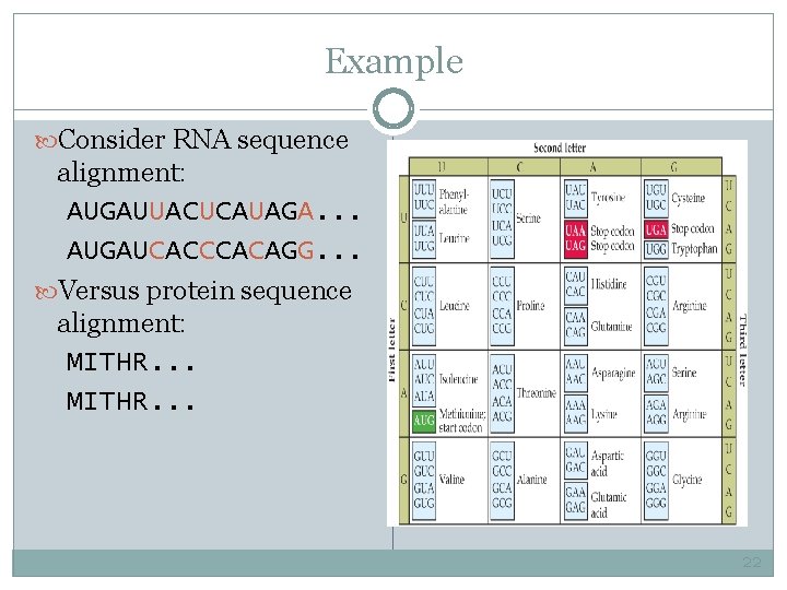 Example Consider RNA sequence alignment: AUGAUUACUCAUAGA. . . AUGAUCACCCACAGG. . . Versus protein sequence