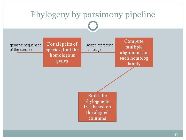 Phylogeny by parsimony pipeline genome sequences of the species For all pairs of species,