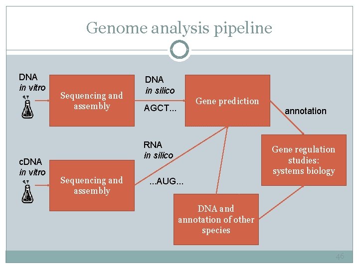 Genome analysis pipeline DNA in vitro c. DNA in vitro Sequencing and assembly DNA
