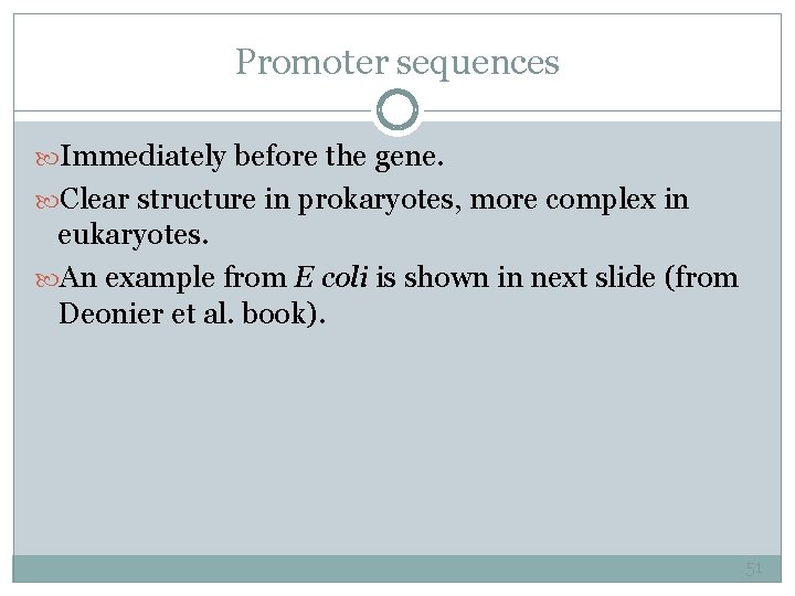 Promoter sequences Immediately before the gene. Clear structure in prokaryotes, more complex in eukaryotes.