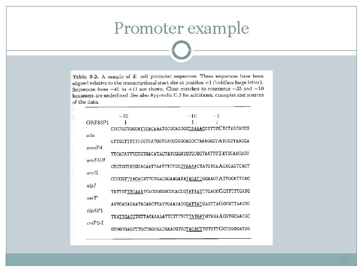 Promoter example 52 