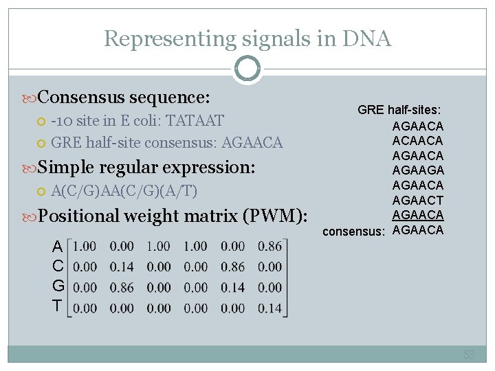 Representing signals in DNA Consensus sequence: -10 site in E coli: TATAAT GRE half-site