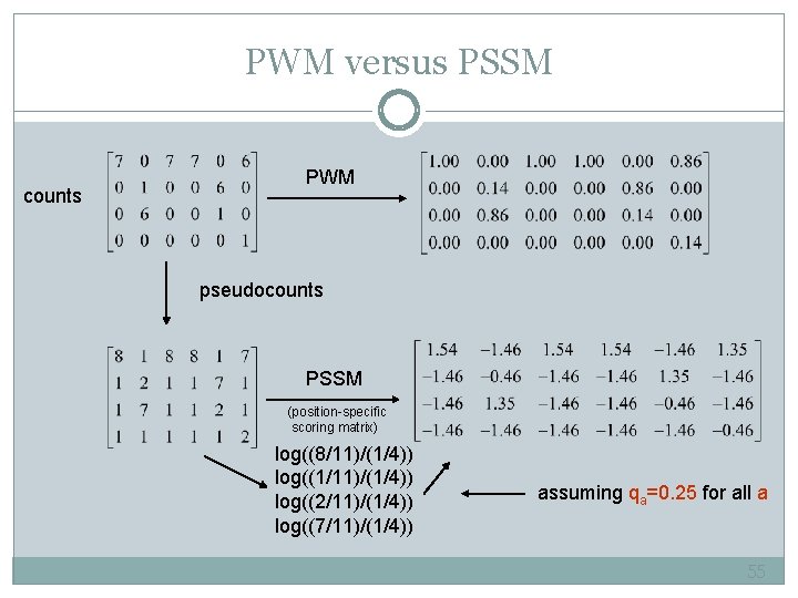 PWM versus PSSM counts PWM pseudocounts PSSM (position-specific scoring matrix) log((8/11)/(1/4)) log((1/11)/(1/4)) log((2/11)/(1/4)) log((7/11)/(1/4))