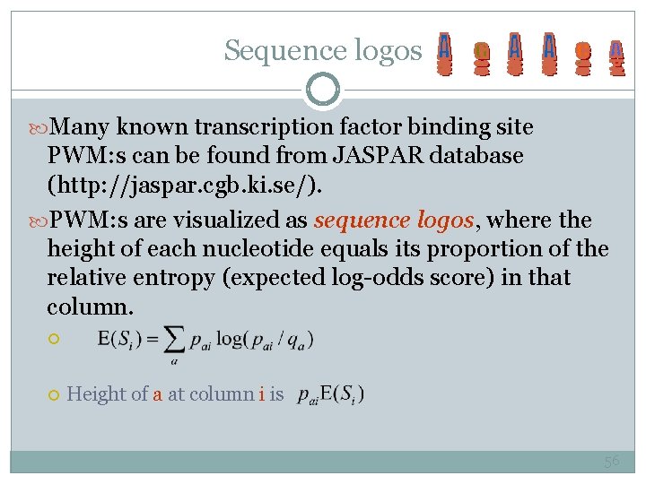 Sequence logos Many known transcription factor binding site PWM: s can be found from