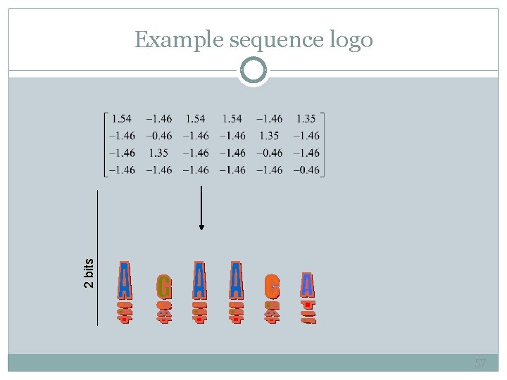 2 bits Example sequence logo 57 