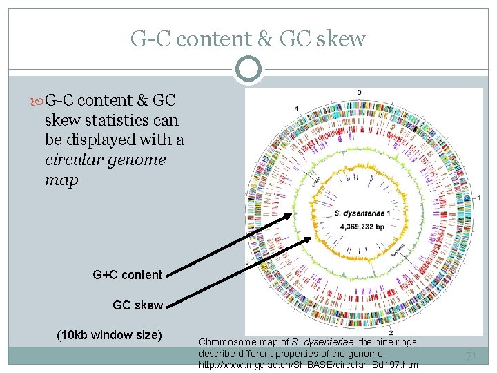 G-C content & GC skew G-C content & GC skew statistics can be displayed
