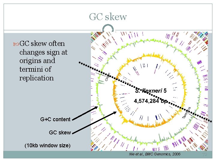 GC skew often changes sign at origins and termini of replication G+C content GC