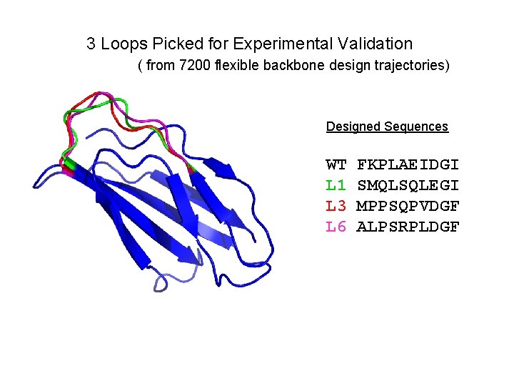 3 Loops Picked for Experimental Validation ( from 7200 flexible backbone design trajectories) Designed