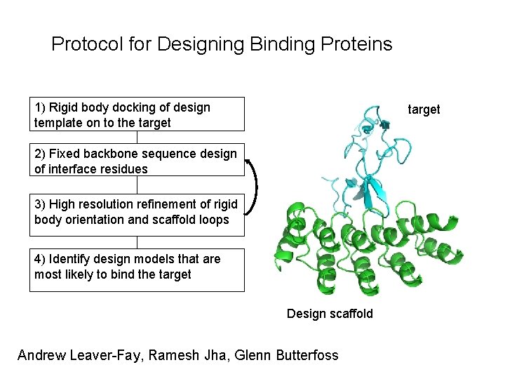 Protocol for Designing Binding Proteins 1) Rigid body docking of design template on to