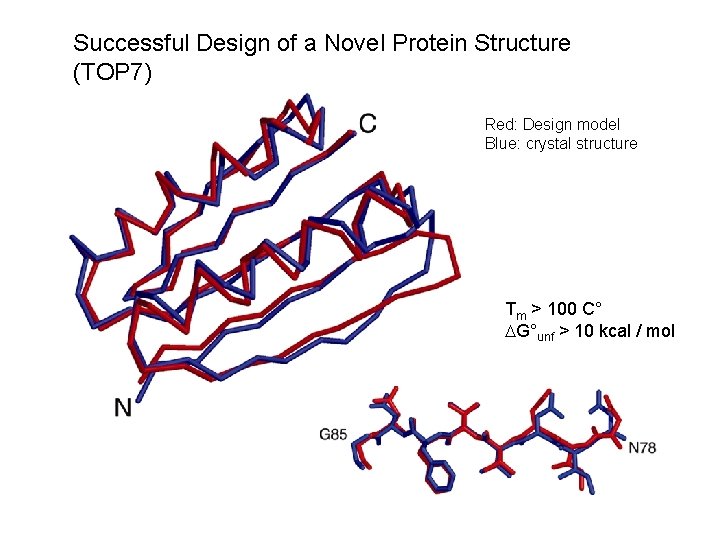 Successful Design of a Novel Protein Structure (TOP 7) Red: Design model Blue: crystal