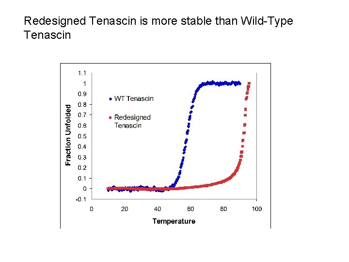 Redesigned Tenascin is more stable than Wild-Type Tenascin 