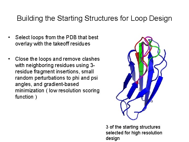 Building the Starting Structures for Loop Design • Select loops from the PDB that