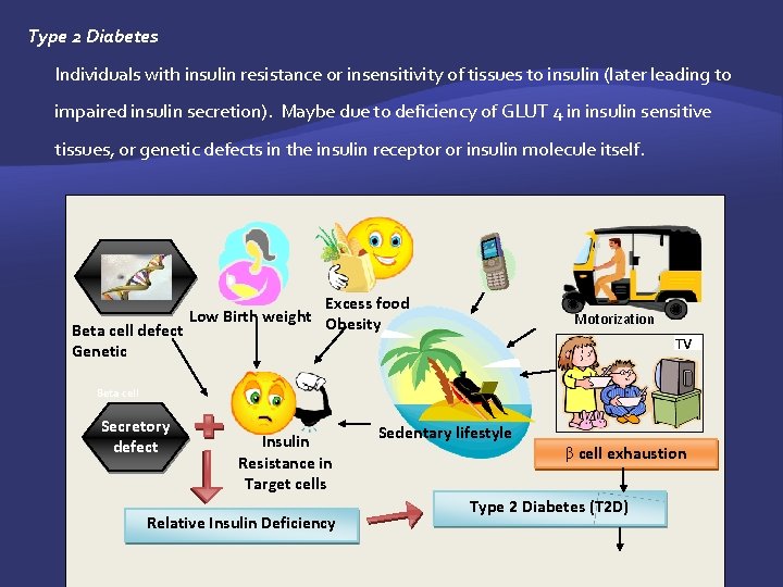 Type 2 Diabetes Individuals with insulin resistance or insensitivity of tissues to insulin (later