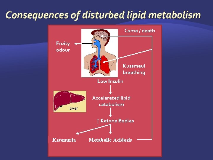 Consequences of disturbed lipid metabolism Coma / death Fruity odour Kussmaul breathing Low Insulin