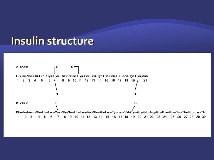 Insulin structure 