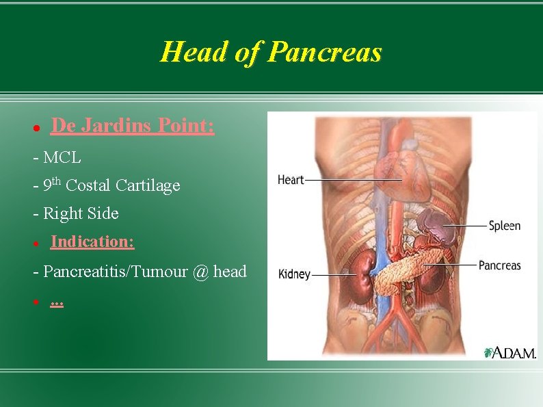 Head of Pancreas De Jardins Point: - MCL - 9 th Costal Cartilage -